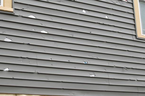 Best Vinyl Siding Installation  in San Marino, CA